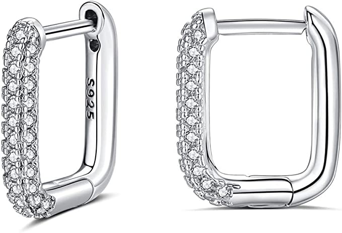 Eternity - Sterling Silver Cz Hoops